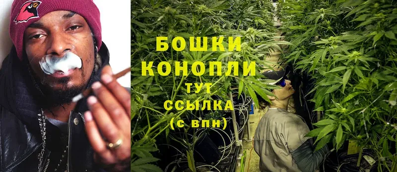 Бошки марихуана OG Kush  Никольск 